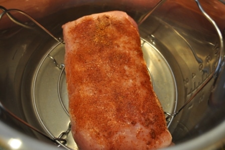 Pork Tenderloin Ready for Instant Pot