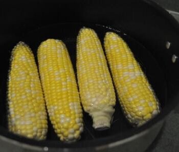 Boiled Corn on Cob