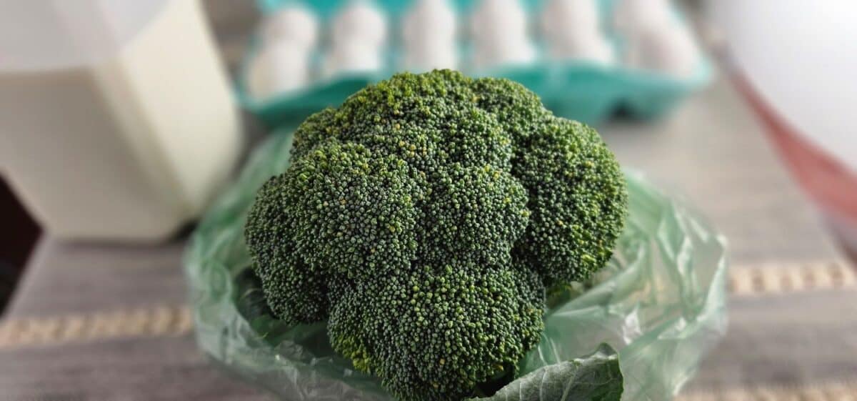 Broccoli that has been in the refrigerator to discuss how long broccoli lasts in the fridge before going bad and how to tell if broccoli is going bad.