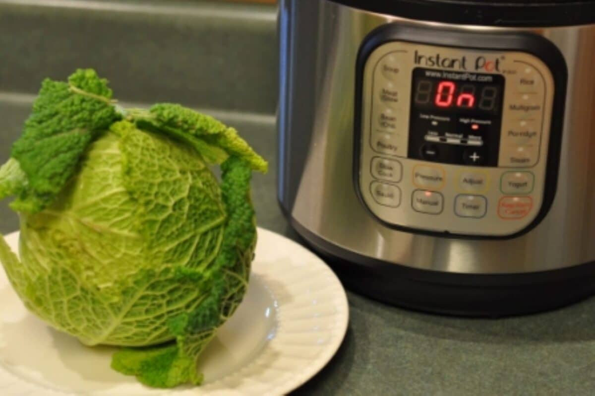 Pressure cooker and savoy cabbage ready to cook.