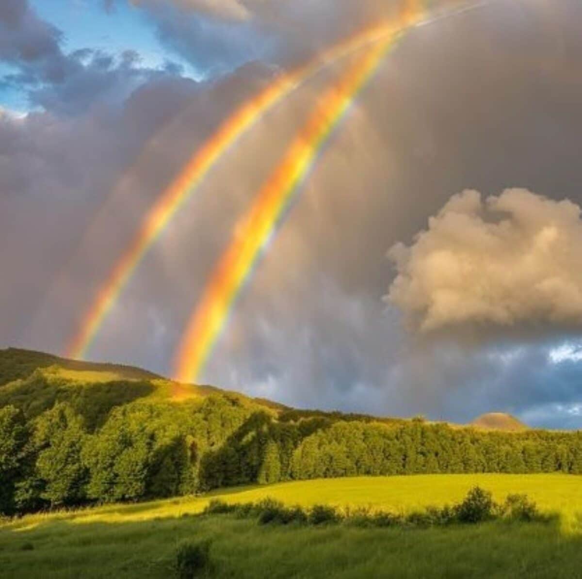 Double rainbow over the mountains and field.